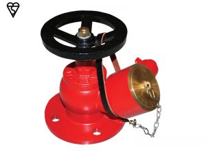 Landing Valves